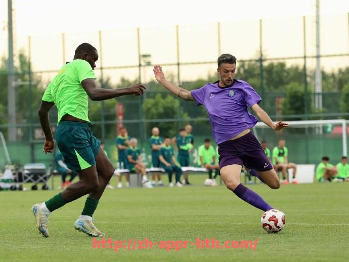 华体会hth官方网站下载-法甲球队投资回报率排名：谁是真正的“性价比之王”？